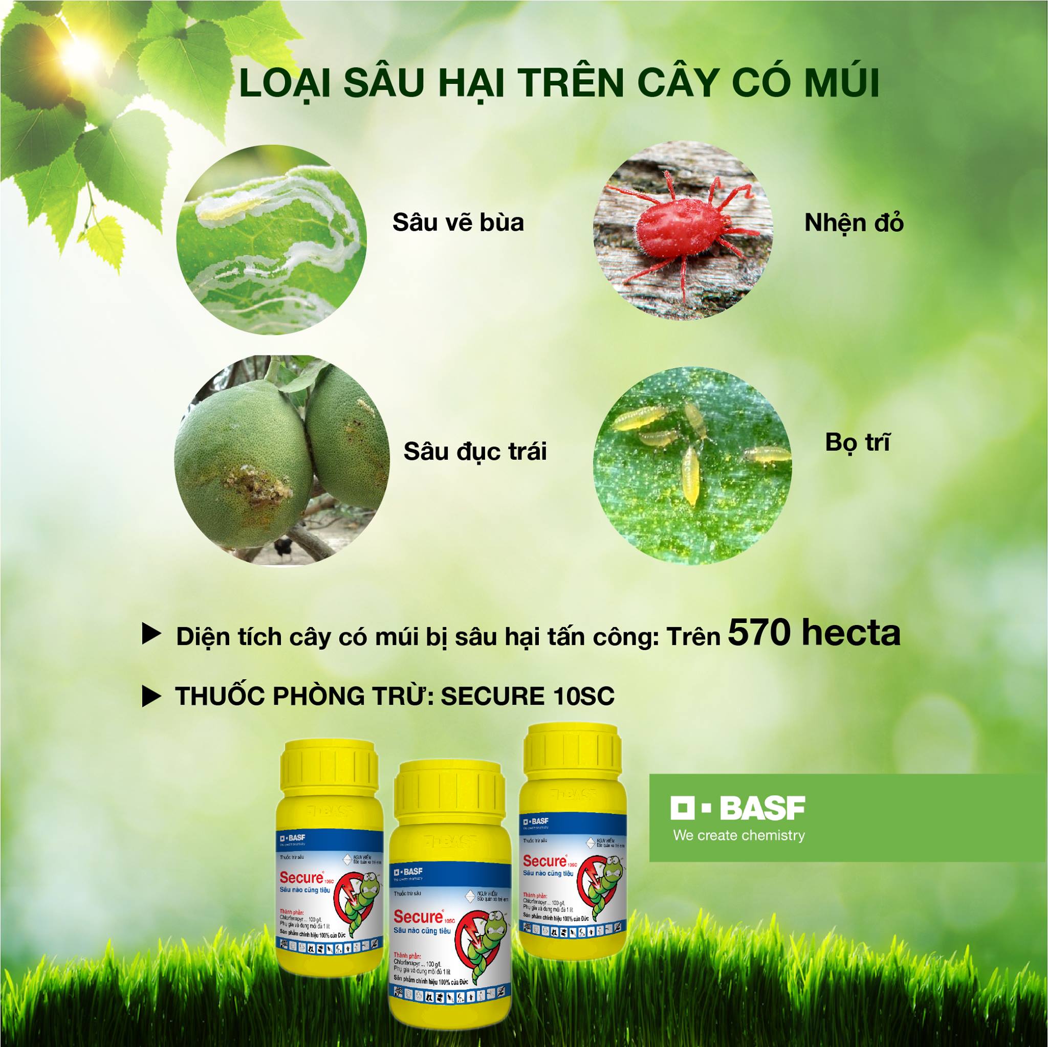 Thuốc trừ sâu Secure 100SC - Chai 250ml